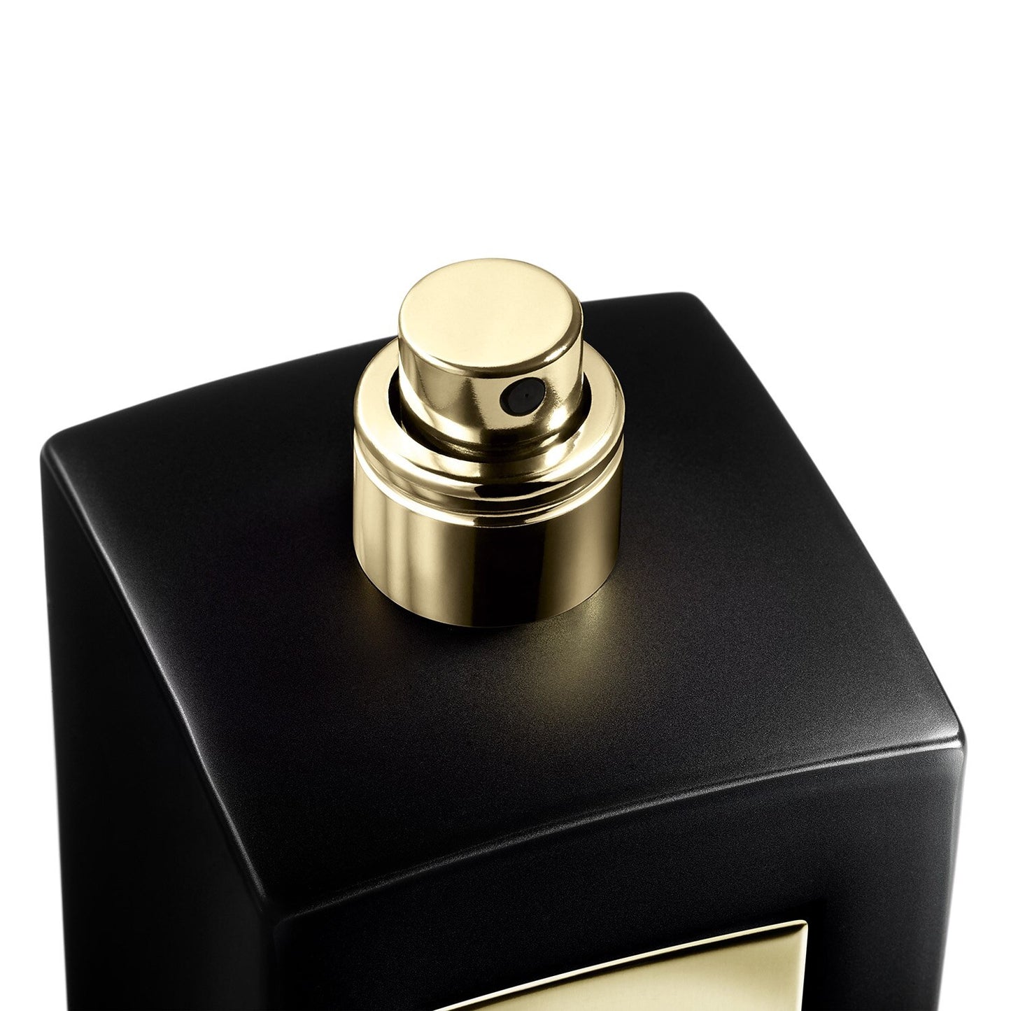 Armani Privé Cuir Noir - Eau De Parfum 100ML - The Scenters